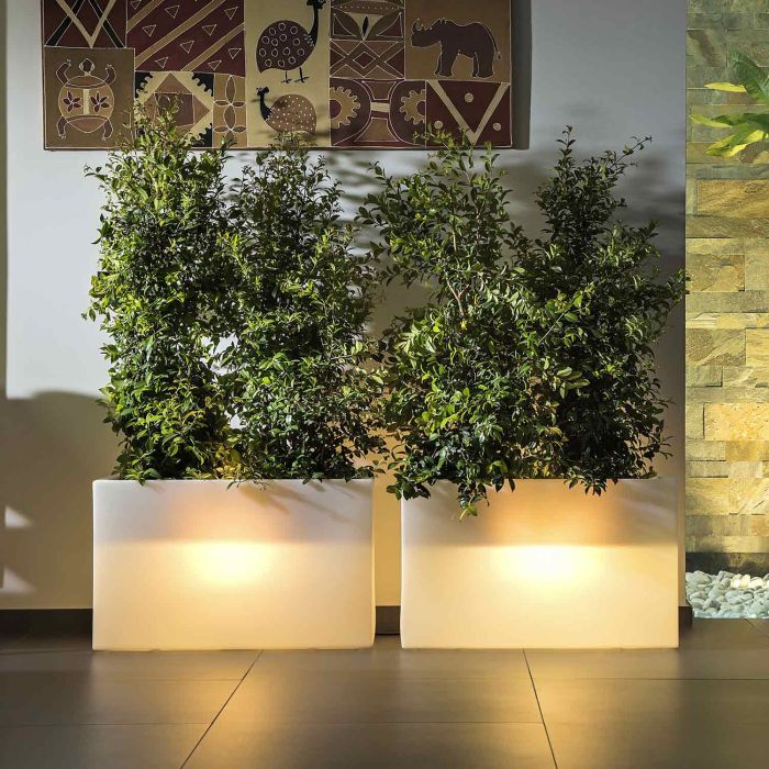 Vaso in Resina mod. Flowerpot Rettangolare con Led main product photo